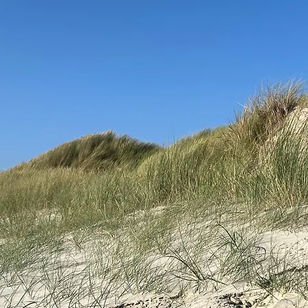 Neuf Dans Les Dunes, Acces Direct A La